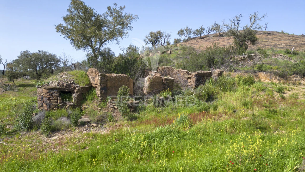 Quinta T2 para Venda em São Martinho das Amoreiras Foto 1