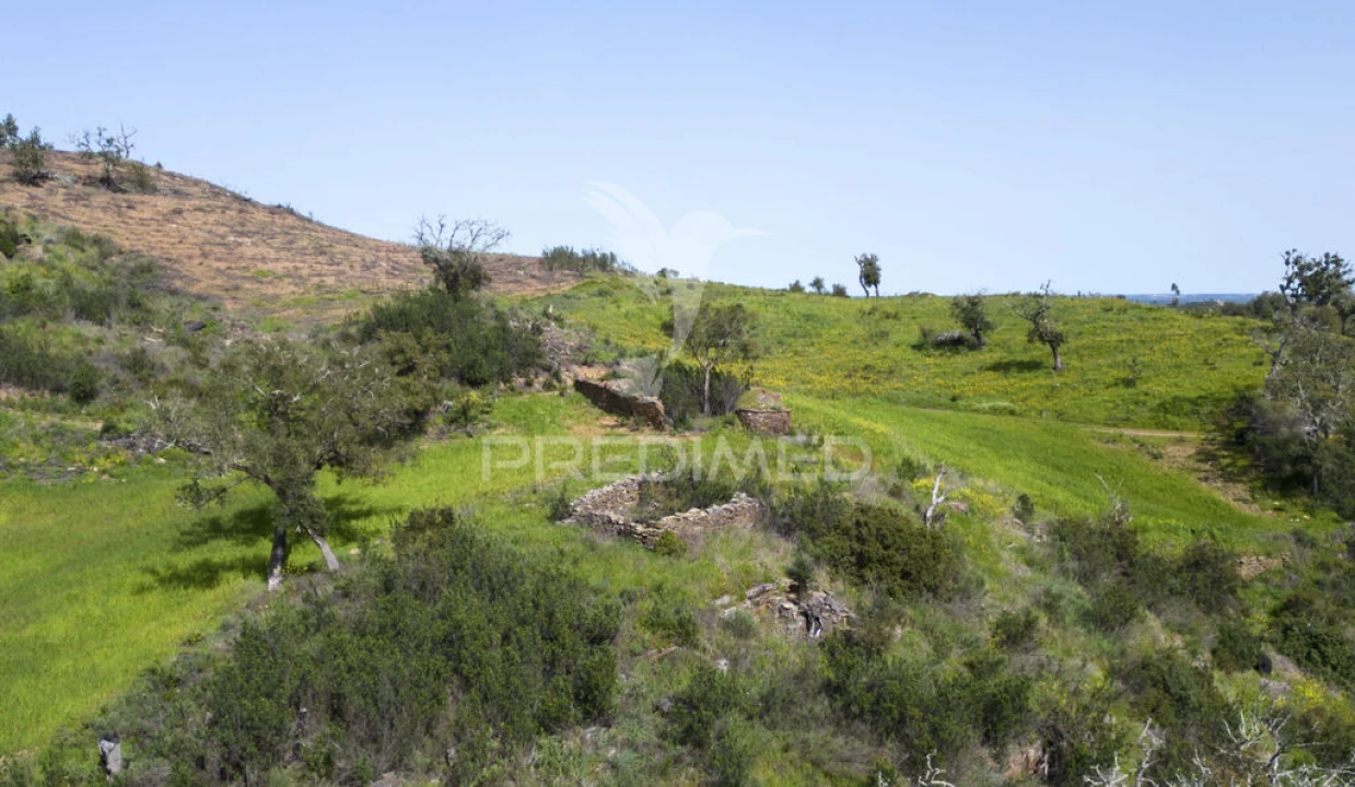 Quinta T2 para Venda em São Martinho das Amoreiras Foto 2