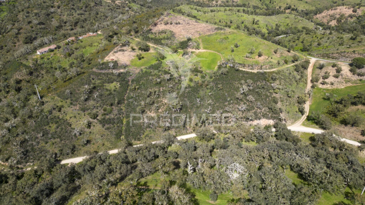 Quinta T2 para Venda em São Martinho das Amoreiras Foto 15