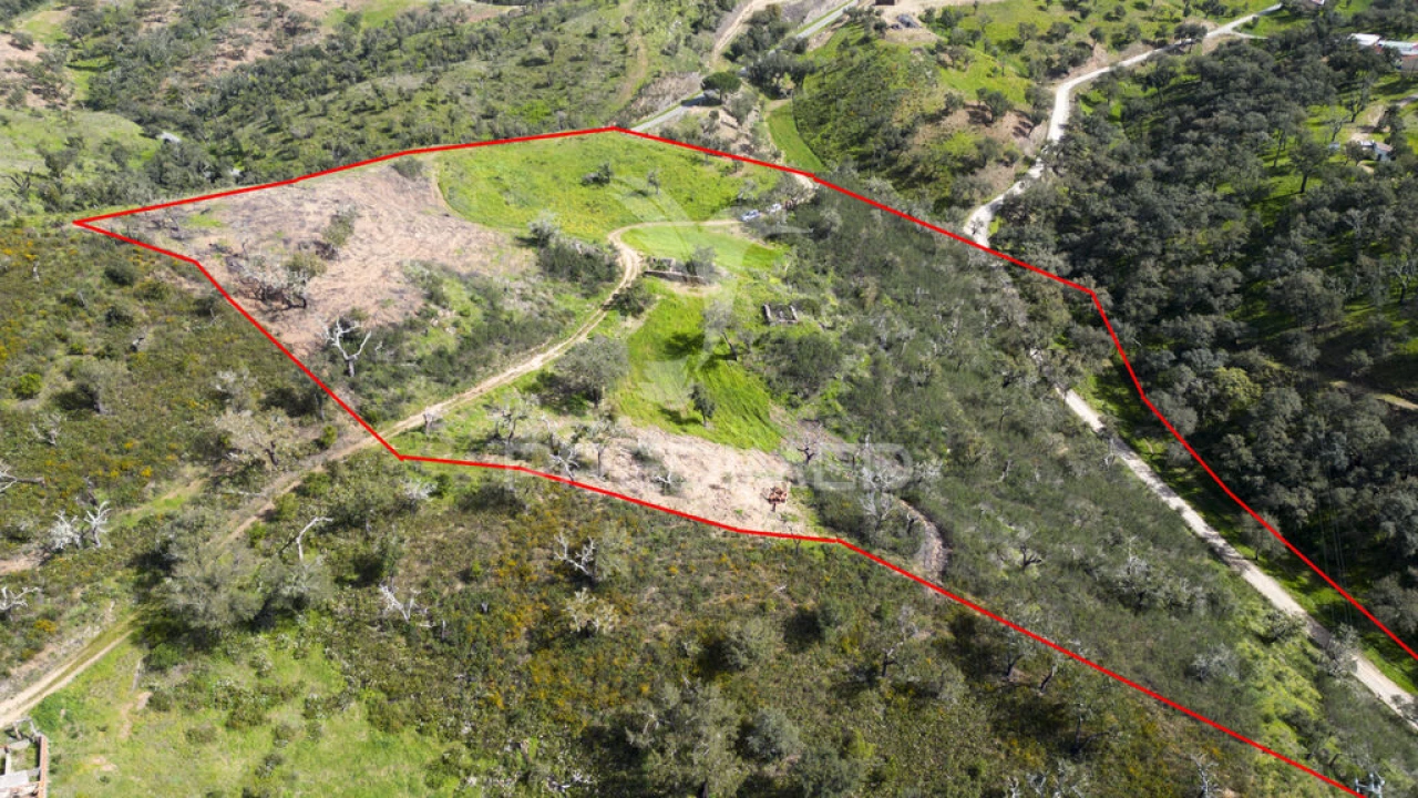 Quinta T2 para Venda em São Martinho das Amoreiras Foto 17