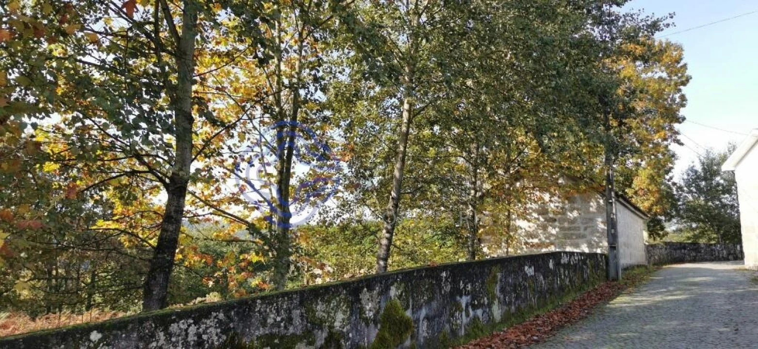 Quinta T5 para Venda em Castelões Foto 2