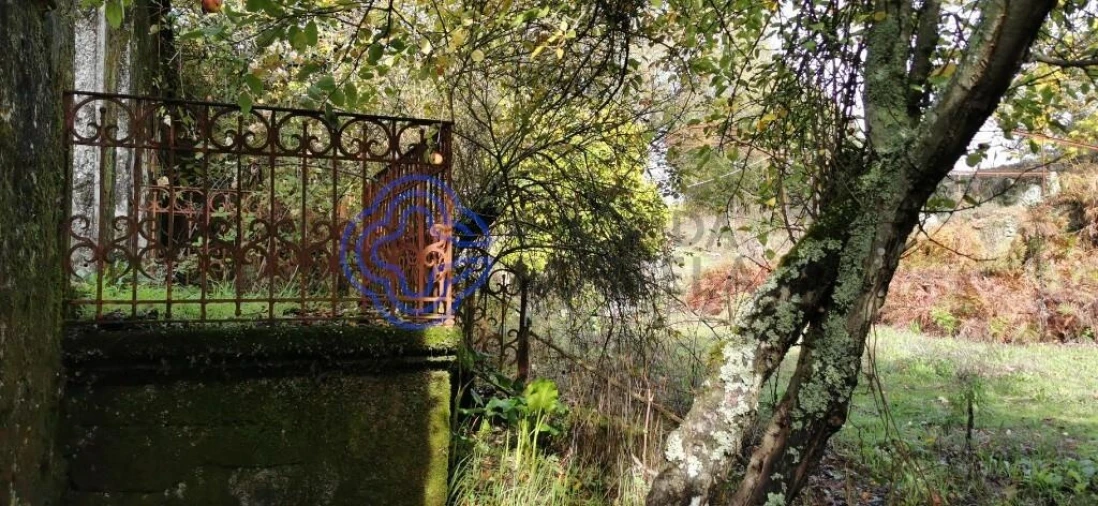 Quinta T5 para Venda em Castelões Foto 12