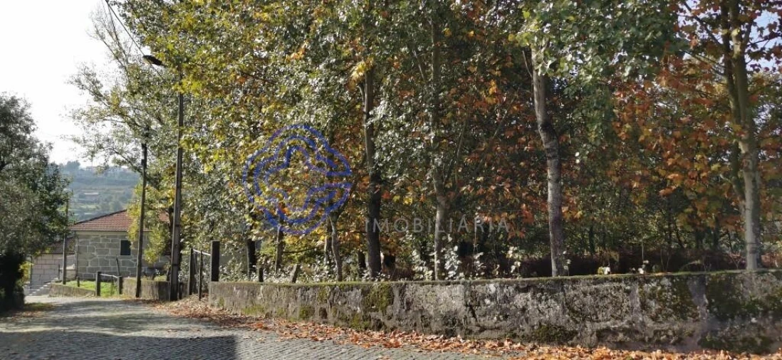 Quinta T5 para Venda em Castelões Foto 1