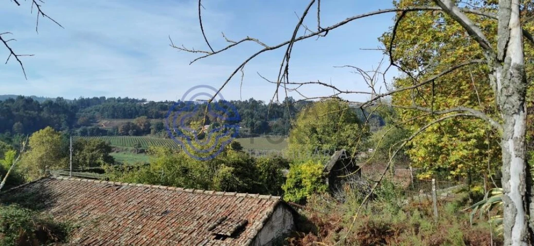 Quinta T5 para Venda em Castelões Foto 5
