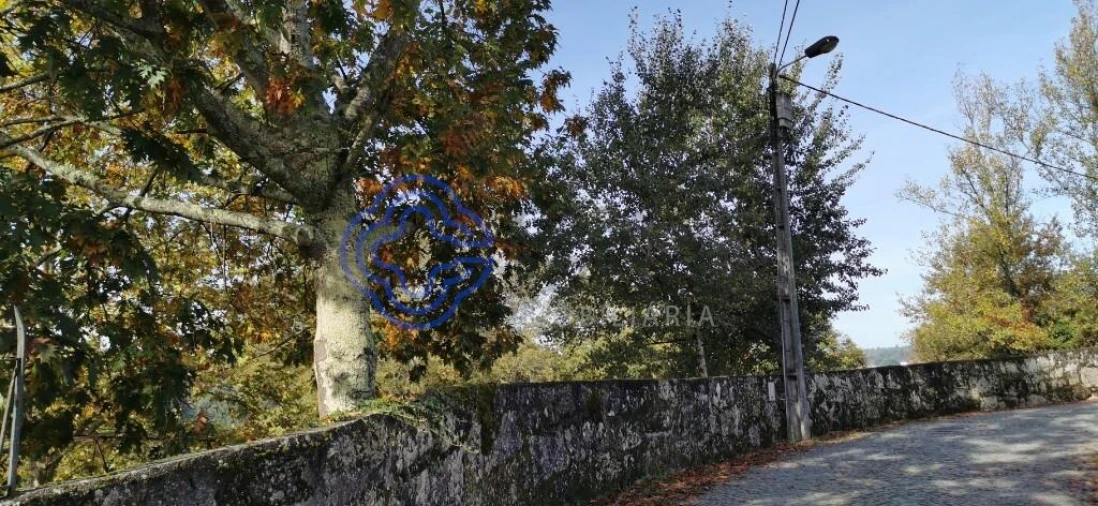 Quinta T5 para Venda em Castelões Foto 4