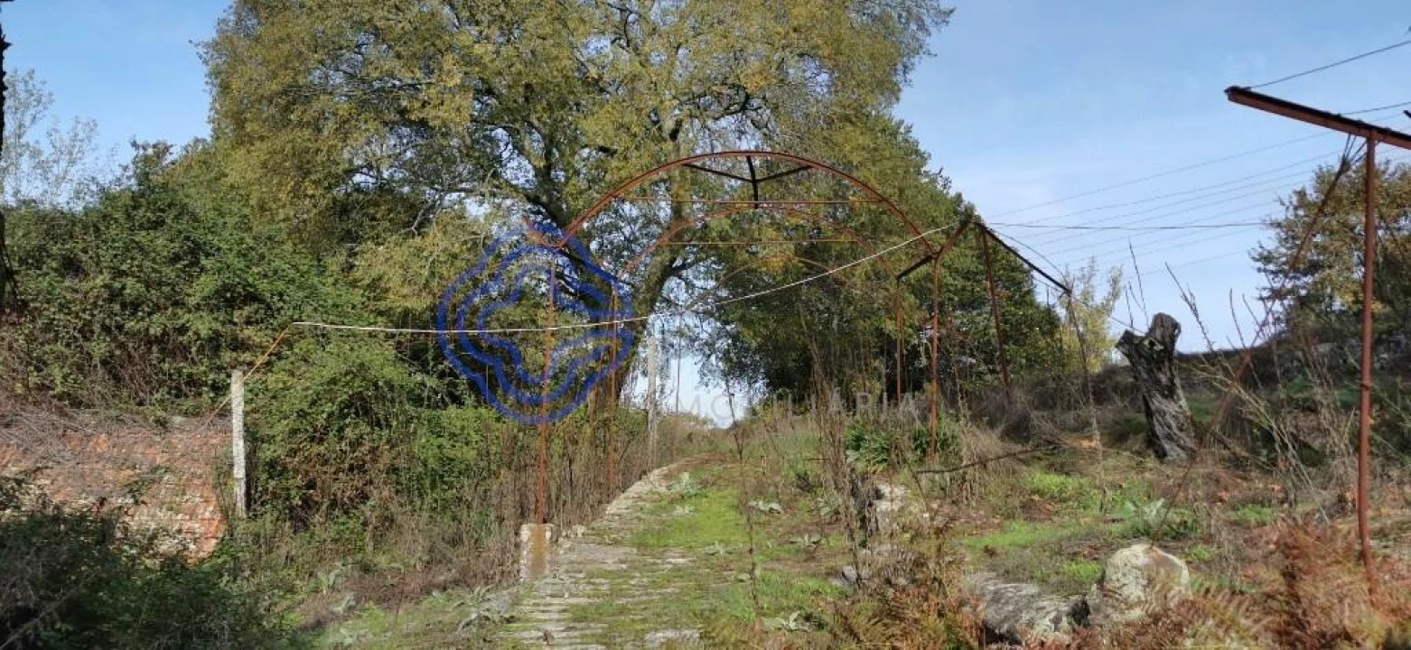 Quinta T5 para Venda em Castelões Foto 8