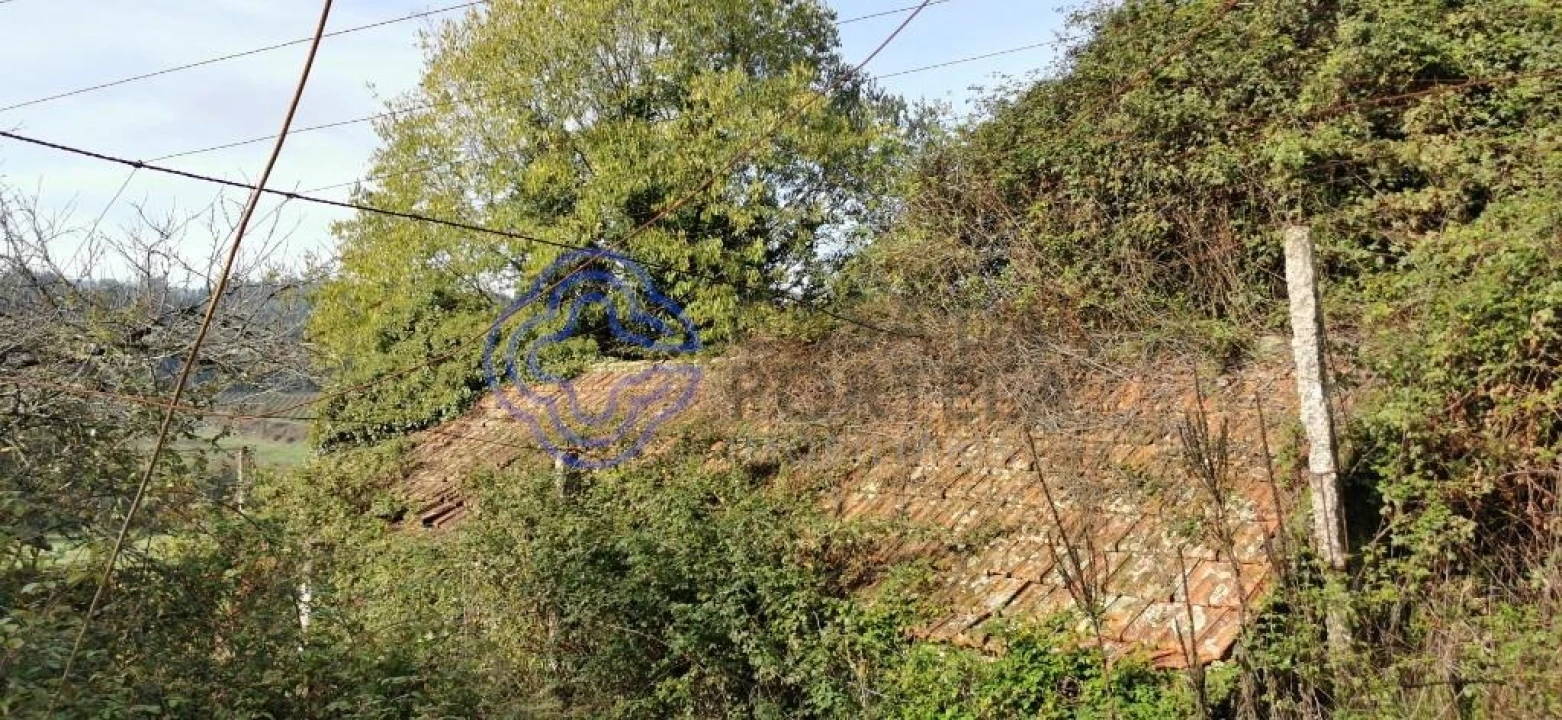 Quinta T5 para Venda em Castelões Foto 7