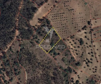 Terreno para Venda em Alcanena e Vila Moreira