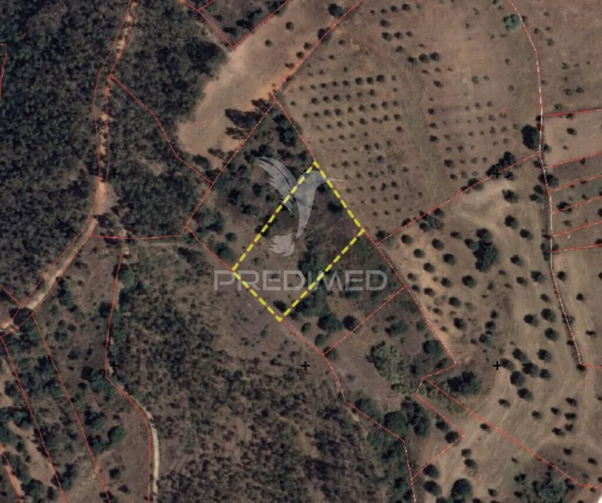 Terreno para Venda em Alcanena e Vila Moreira Foto 1