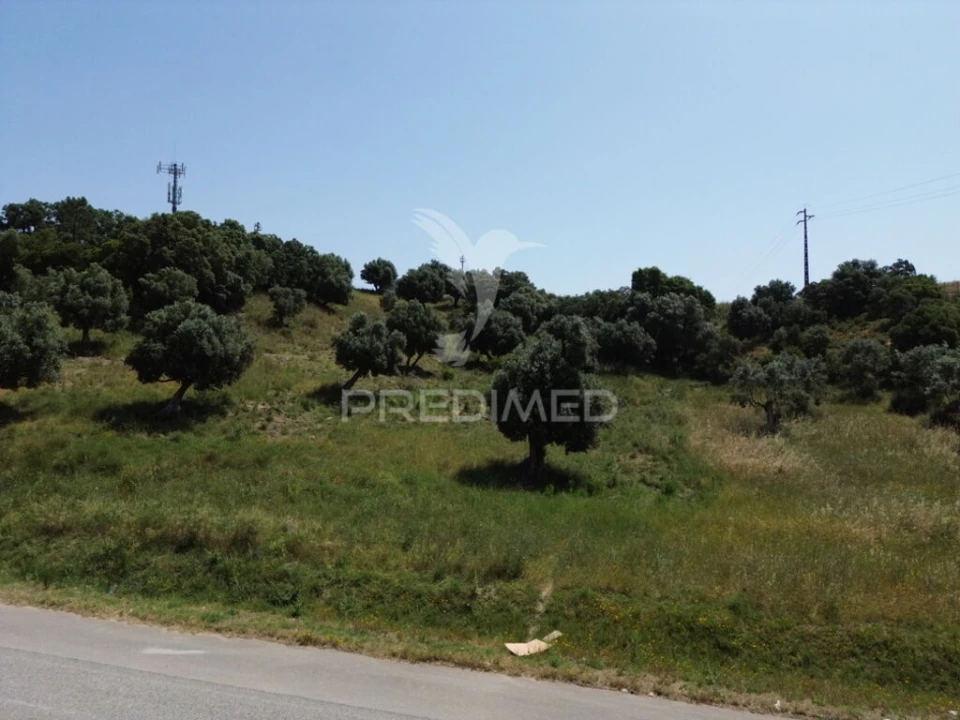Terreno para Venda em Alcanena e Vila Moreira Foto 3