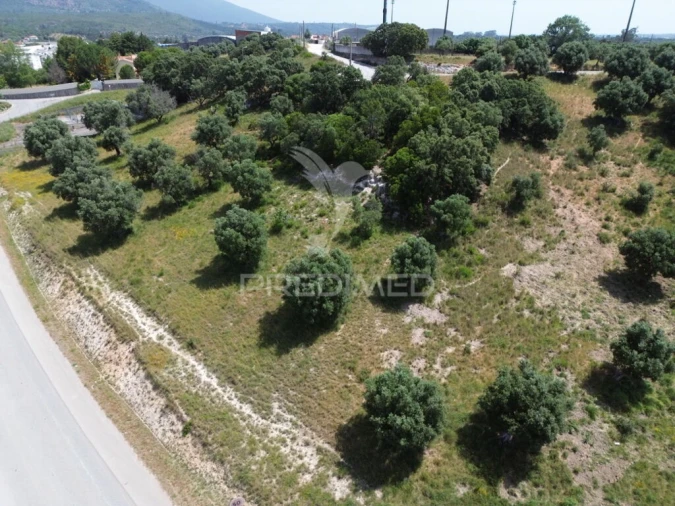 Terreno para Venda em Alcanena e Vila Moreira Foto 8