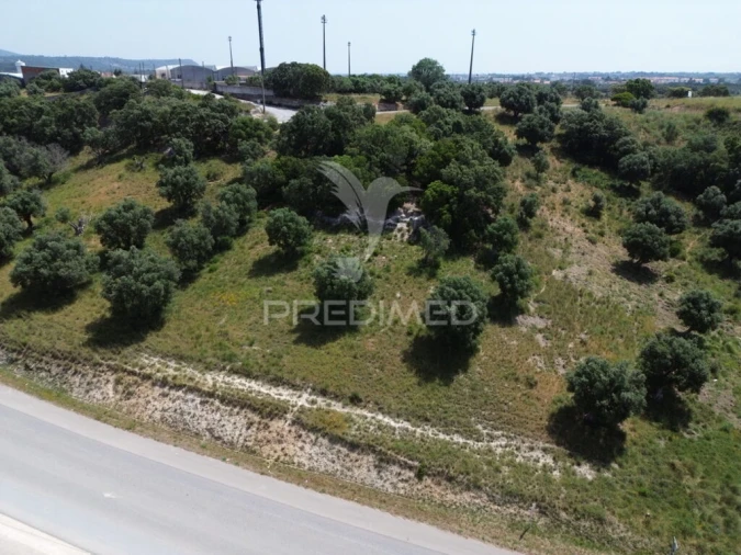 Terreno para Venda em Alcanena e Vila Moreira Foto 7