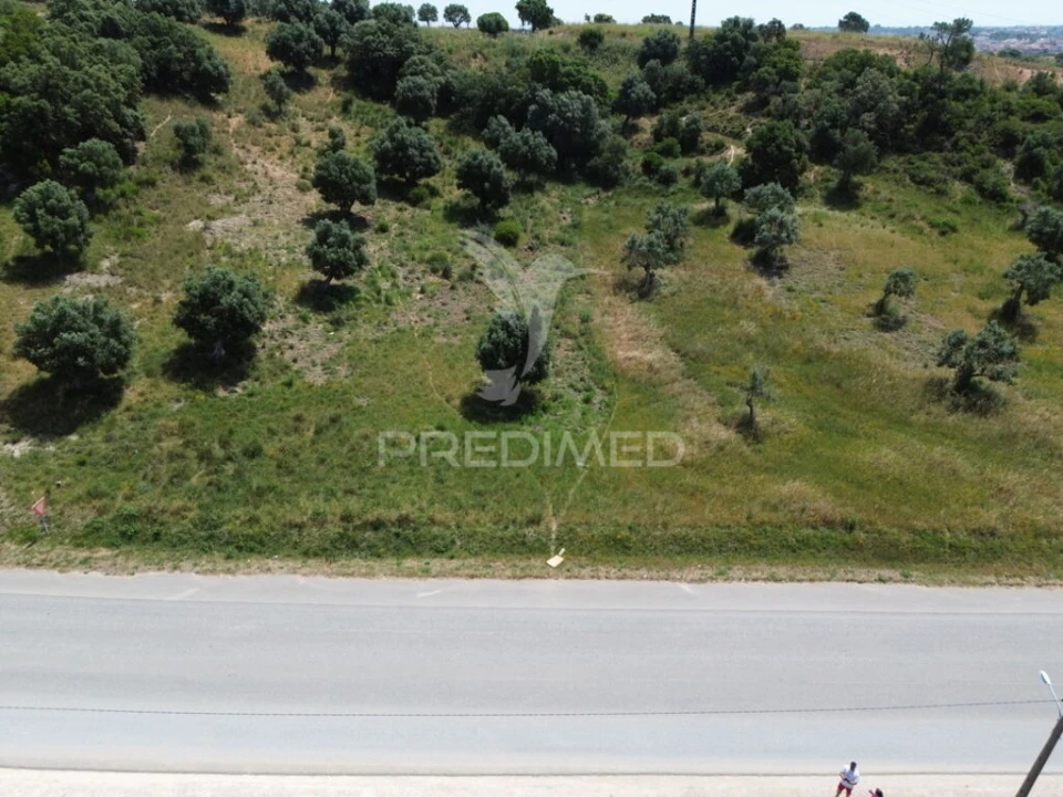Terreno para Venda em Alcanena e Vila Moreira Foto 4