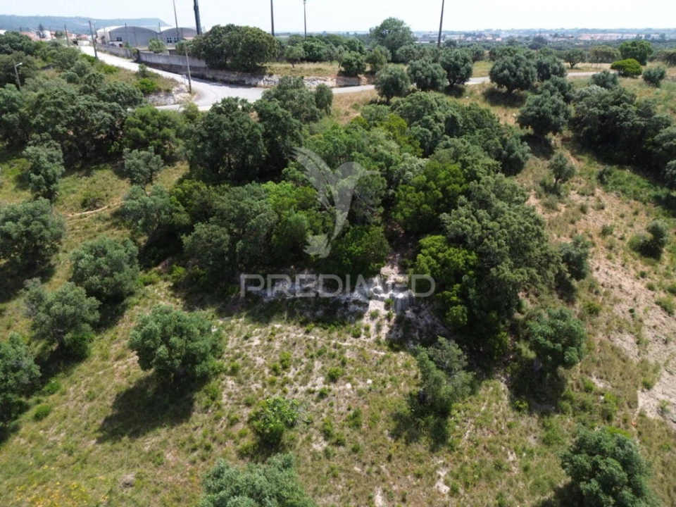 Terreno para Venda em Alcanena e Vila Moreira Foto 12