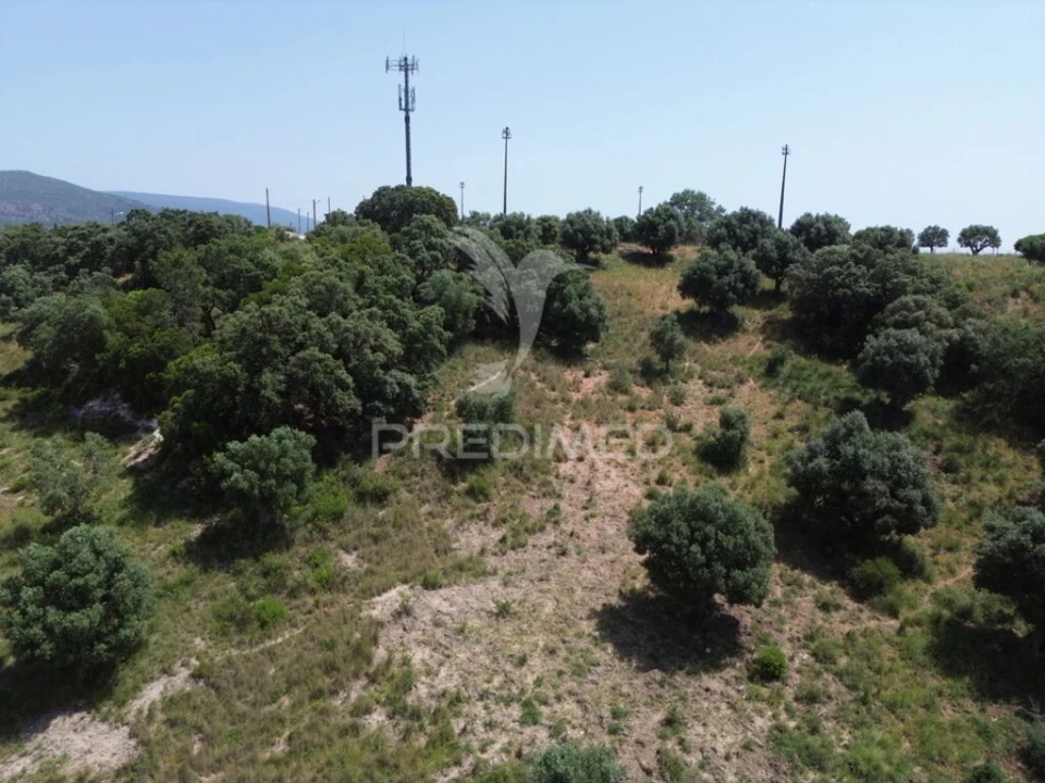 Terreno para Venda em Alcanena e Vila Moreira Foto 17