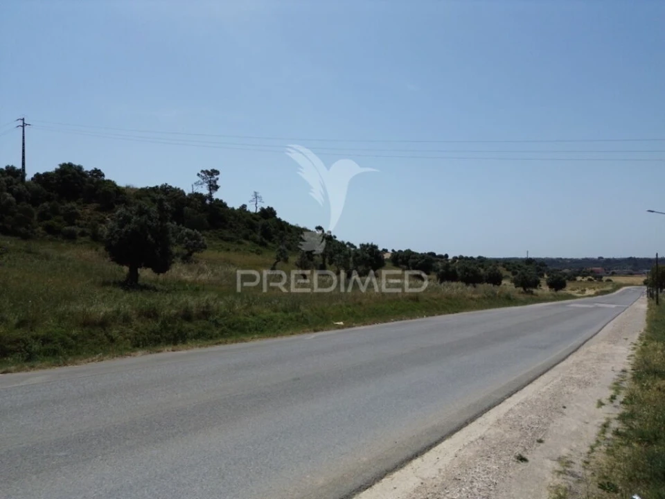Terreno para Venda em Alcanena e Vila Moreira Foto 11