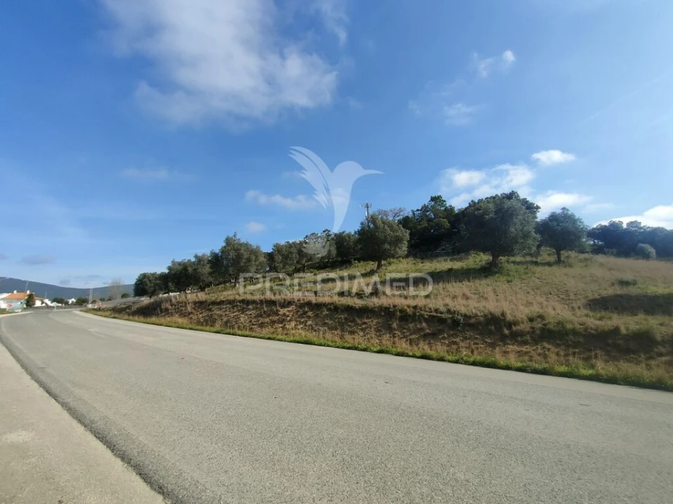 Terreno para Venda em Alcanena e Vila Moreira Foto 1