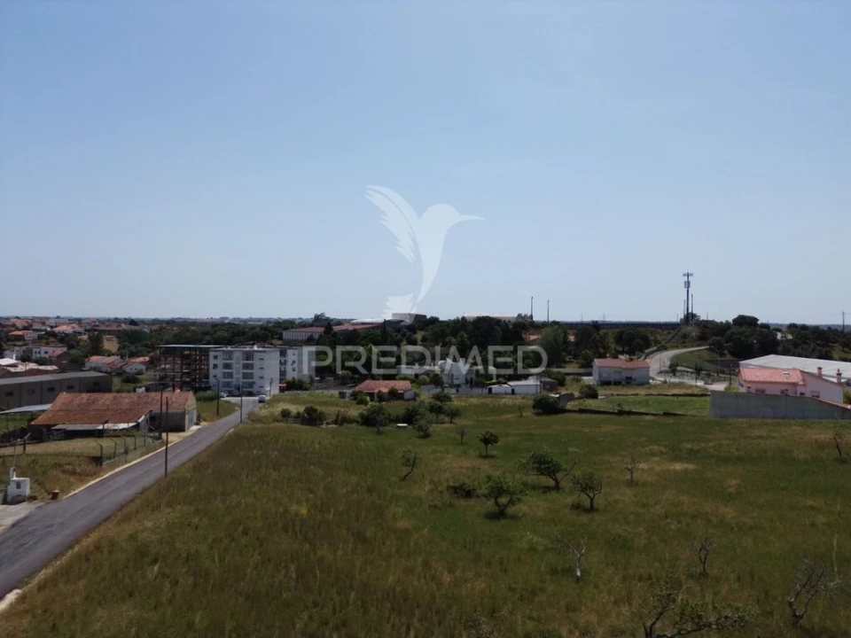 Terreno para Venda em Alcanena e Vila Moreira Foto 6