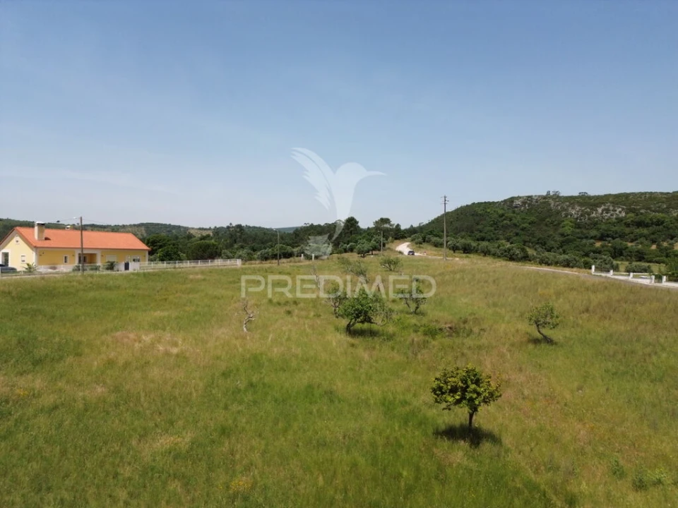 Terreno para Venda em Alcanena e Vila Moreira Foto 2