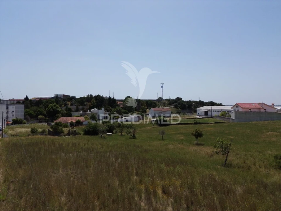 Terreno para Venda em Alcanena e Vila Moreira Foto 8