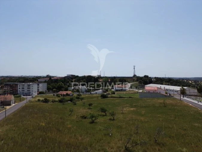 Terreno para Venda em Alcanena e Vila Moreira Foto 7