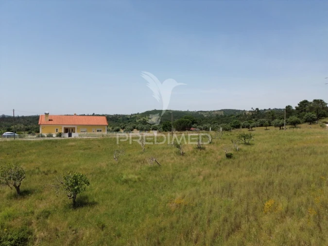 Terreno para Venda em Alcanena e Vila Moreira Foto 3