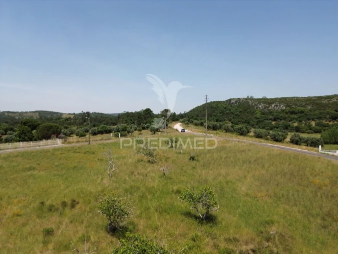 Terreno para Venda em Alcanena e Vila Moreira Foto 5