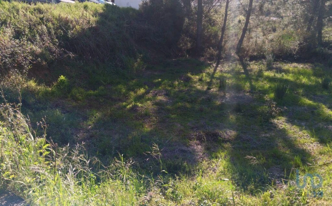 Terreno para Venda em Pedrogão Grande Foto 11