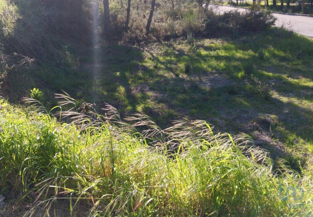 Terreno para Venda em Pedrogão Grande Foto 10