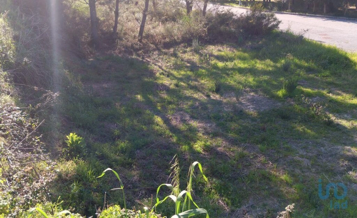 Terreno para Venda em Pedrogão Grande Foto 9