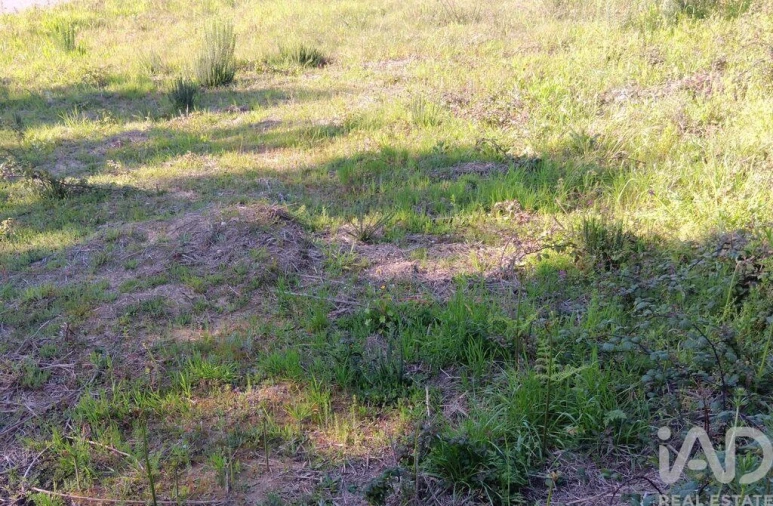 Terreno para Venda em Pedrogão Grande Foto 20