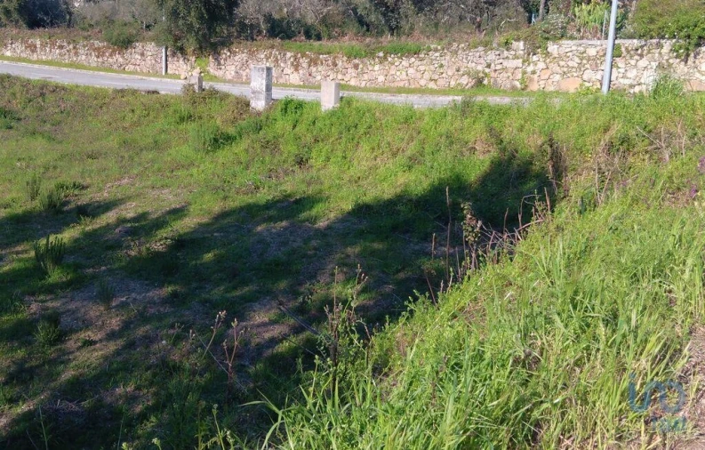 Terreno para Venda em Pedrogão Grande Foto 6