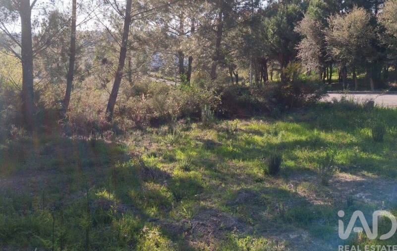 Terreno para Venda em Pedrogão Grande Foto 21