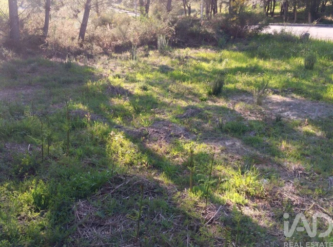 Terreno para Venda em Pedrogão Grande Foto 19