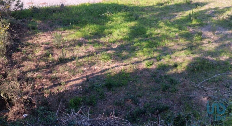 Terreno para Venda em Pedrogão Grande Foto 4