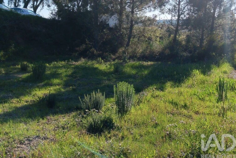Terreno para Venda em Pedrogão Grande Foto 25