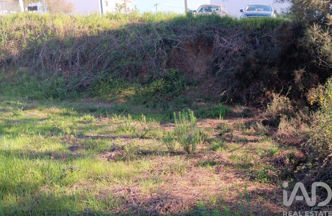 Terreno para Venda em Pedrogão Grande Foto 16