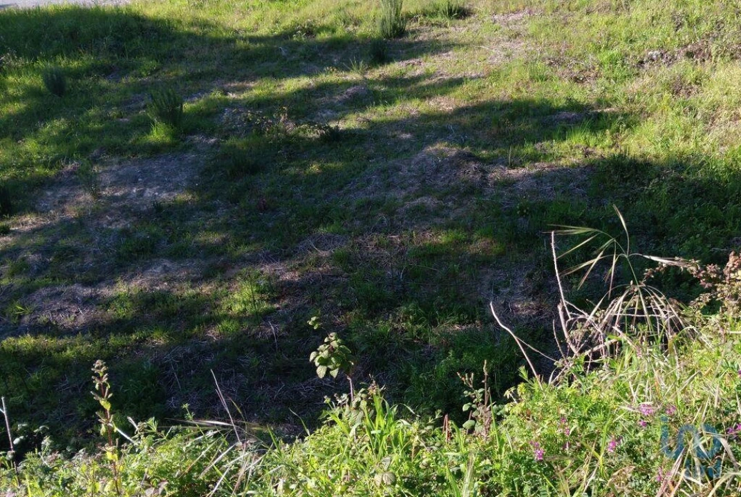 Terreno para Venda em Pedrogão Grande Foto 8