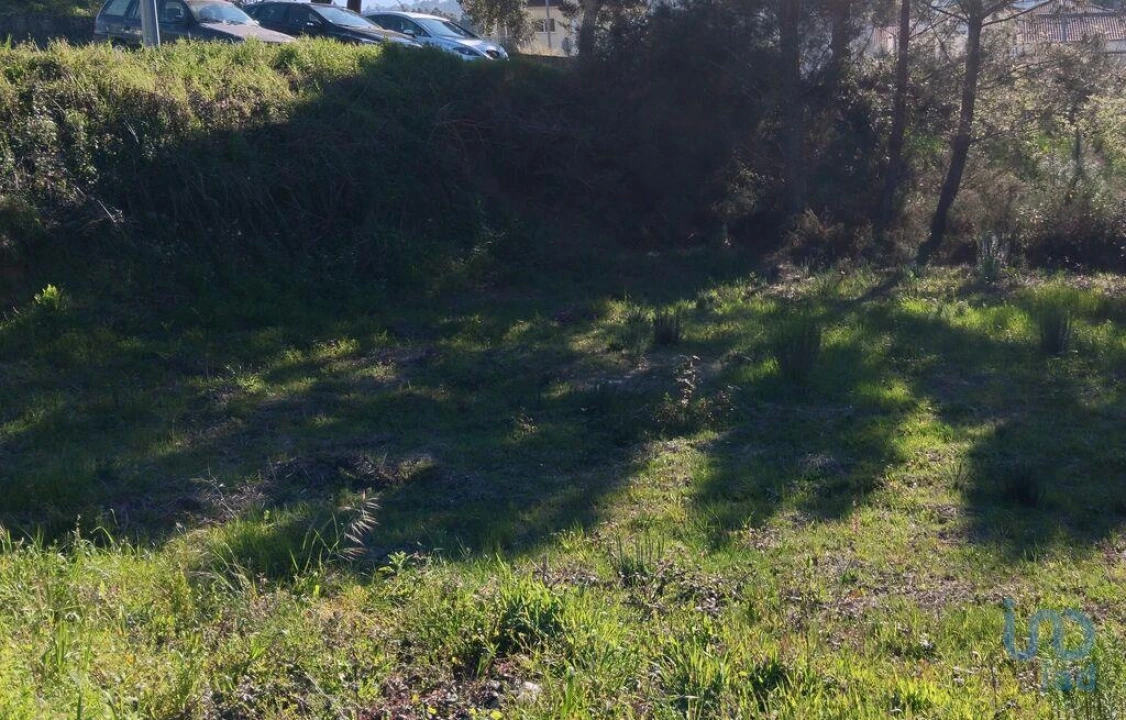Terreno para Venda em Pedrogão Grande Foto 12