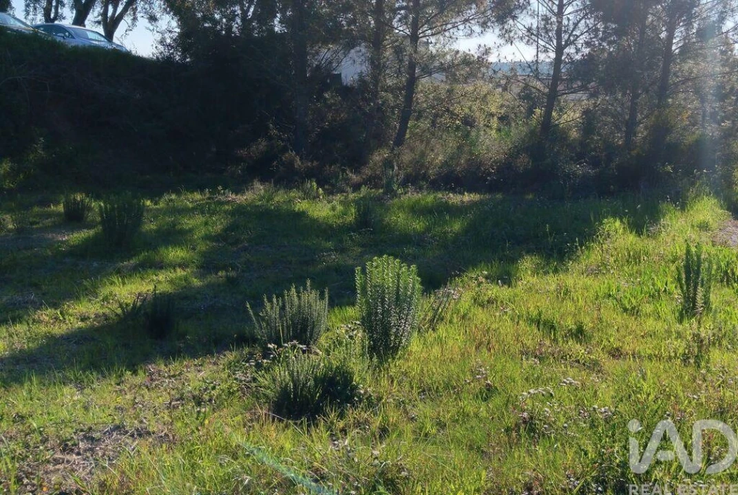 Terreno para Venda em Pedrogão Grande Foto 25
