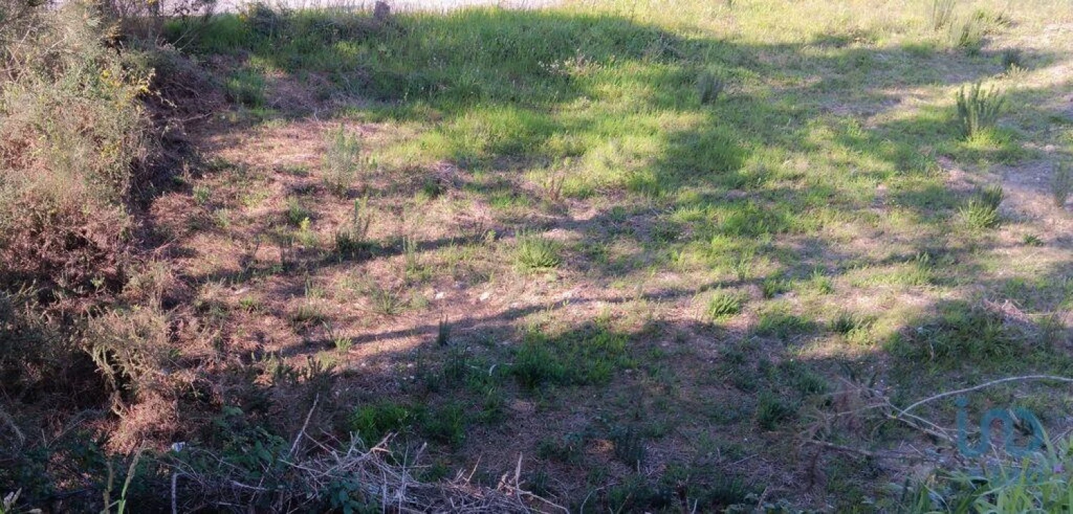 Terreno para Venda em Pedrogão Grande Foto 5
