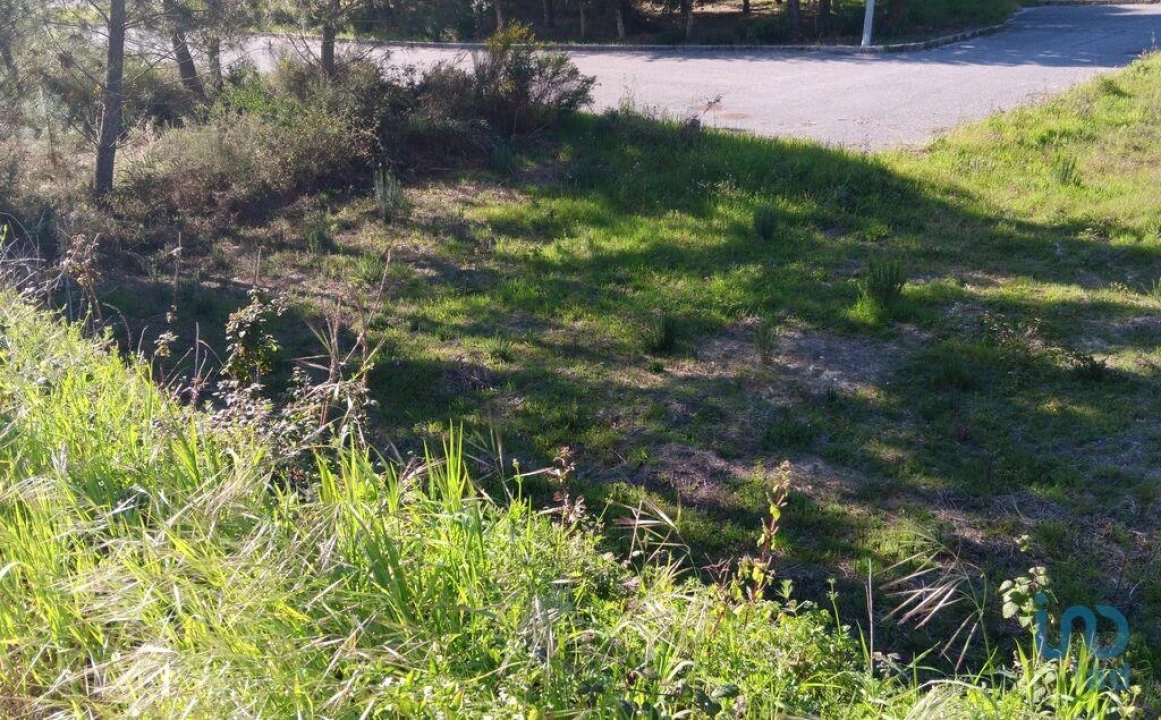 Terreno para Venda em Pedrogão Grande Foto 7