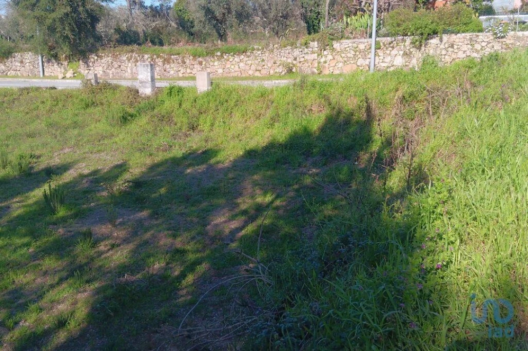 Terreno para Venda em Pedrogão Grande Foto 3