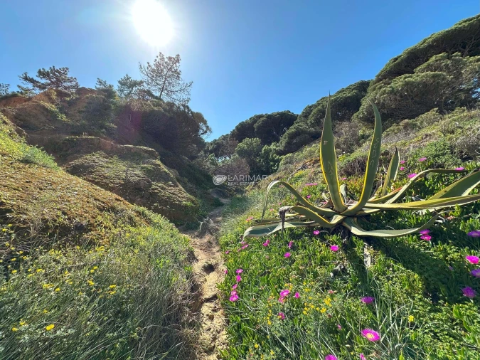 Moradia T5 para Venda em Albufeira e Olhos de Água Foto 10