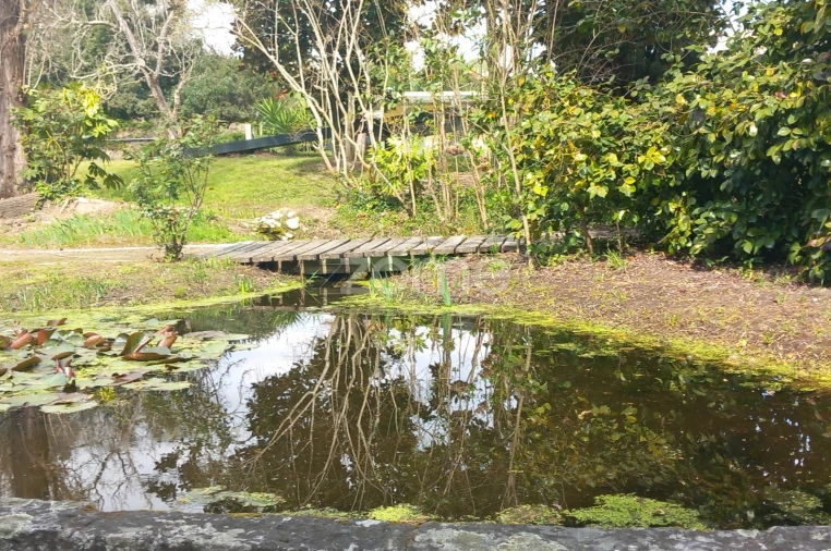 Moradia T6 para Venda em Marco Foto 18