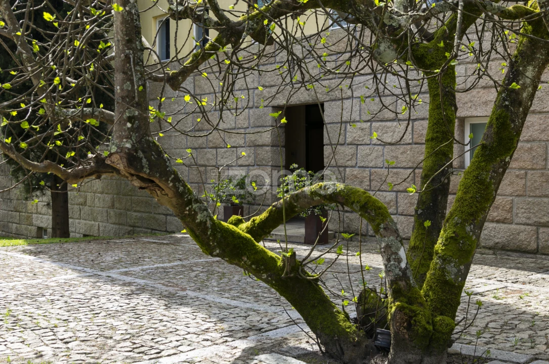 Moradia T6 para Venda em Marco Foto 24