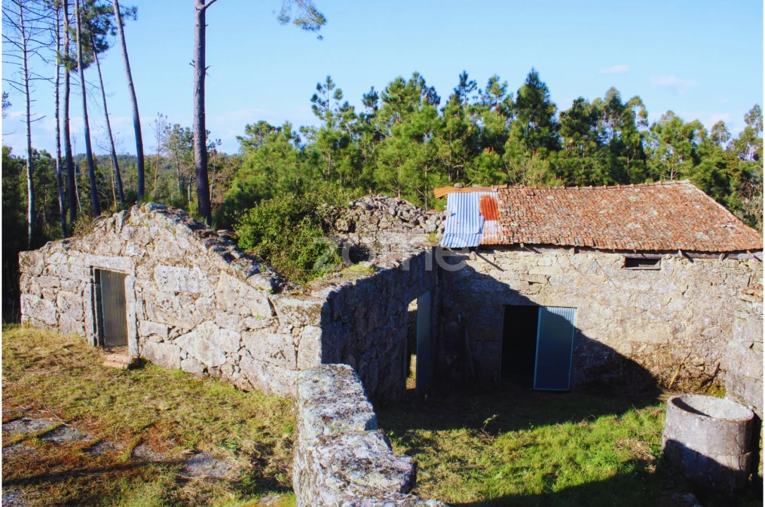 Moradia T3 para Venda em Tavares (Chãs, Várzea e Travanca) Foto 2