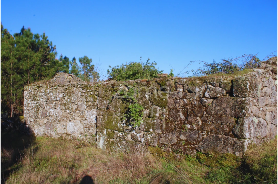 Moradia T3 para Venda em Tavares (Chãs, Várzea e Travanca) Foto 12