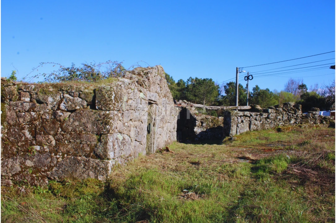 Moradia T3 para Venda em Tavares (Chãs, Várzea e Travanca) Foto 16