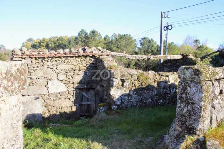 Moradia T3 para Venda em Tavares (Chãs, Várzea e Travanca) Foto 1